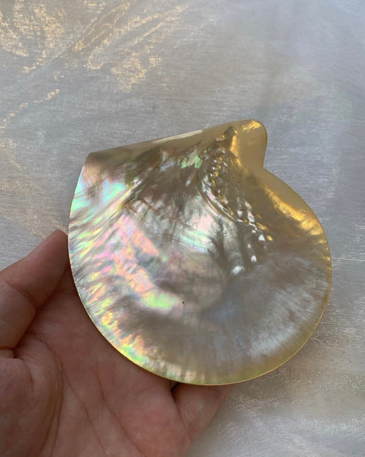 Mother of pearl tray