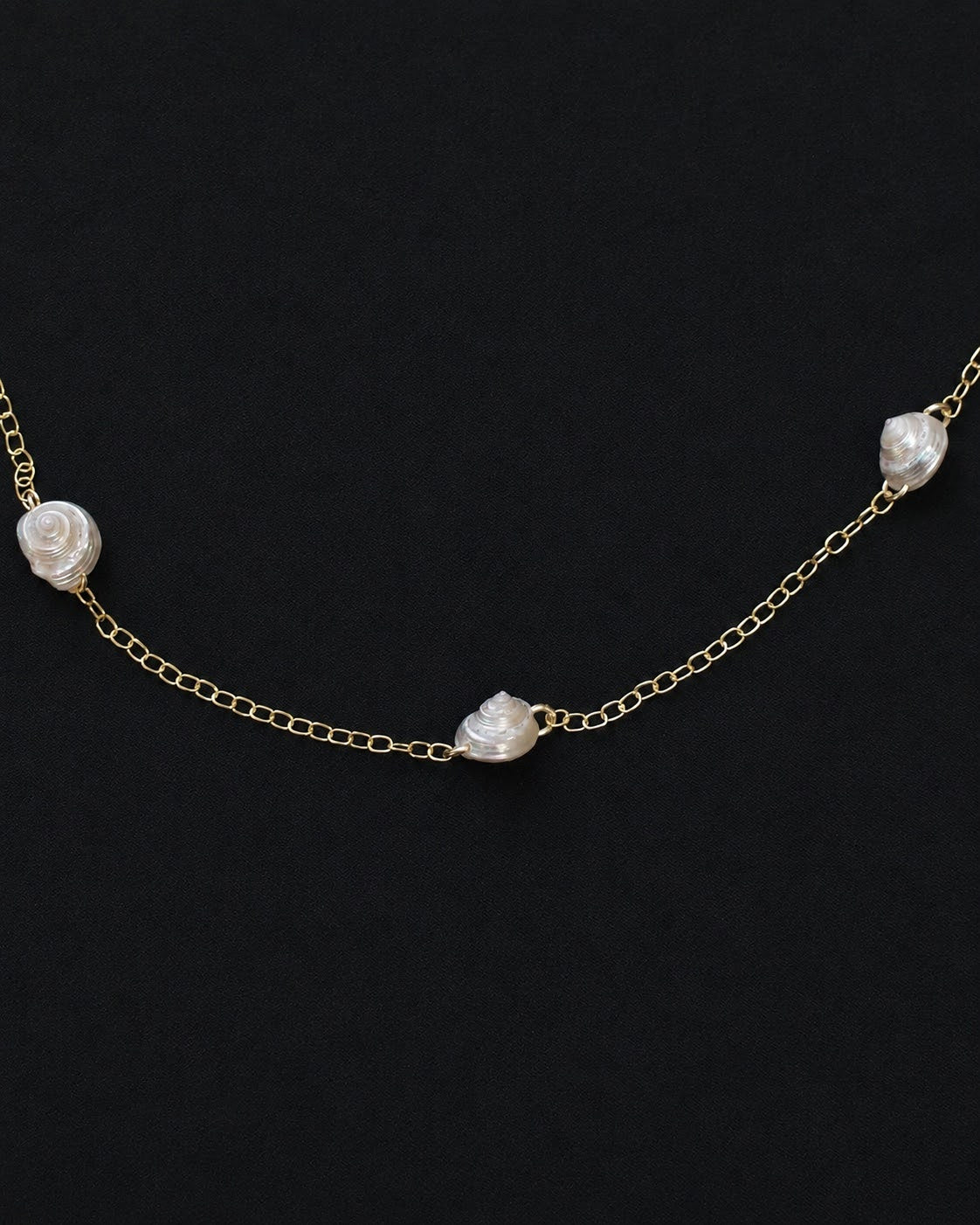 Chain ＆ Whiteshell necklace
