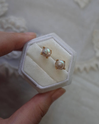 White seashell pierce