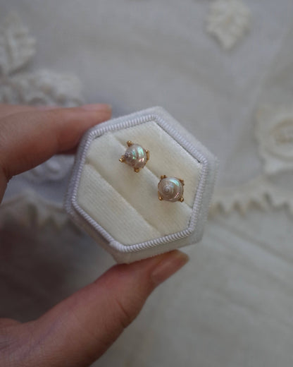 White seashell pierce