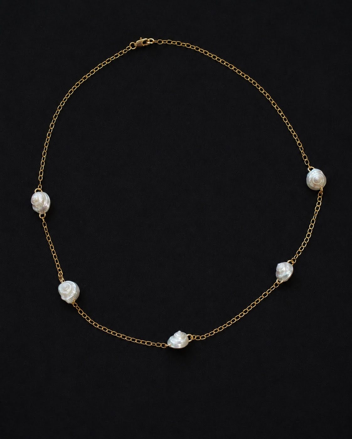 Chain ＆ Whiteshell necklace