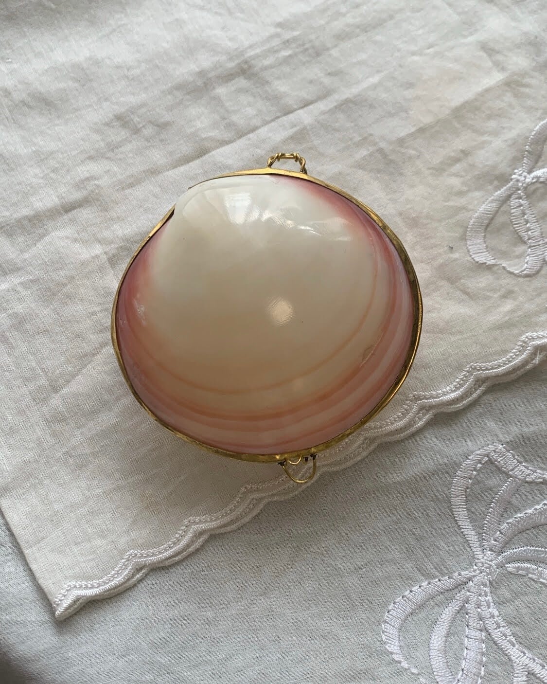 Seashell case