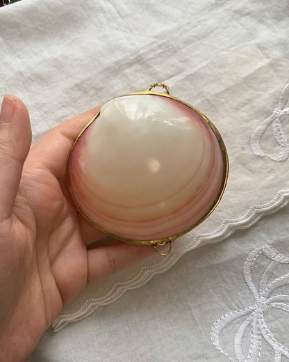 Seashell case