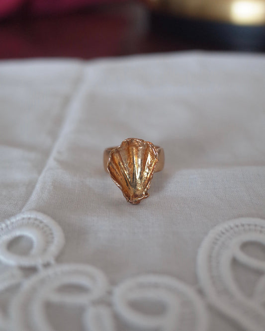 Memory of seashell ring