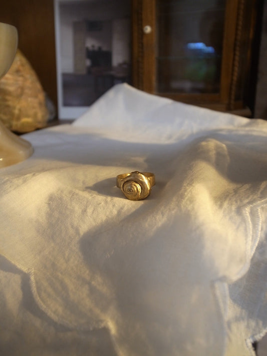 Memory of seashell ring 2