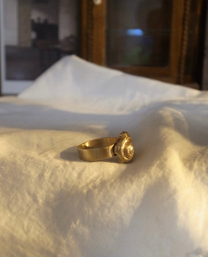 Memory of seashell ring 2
