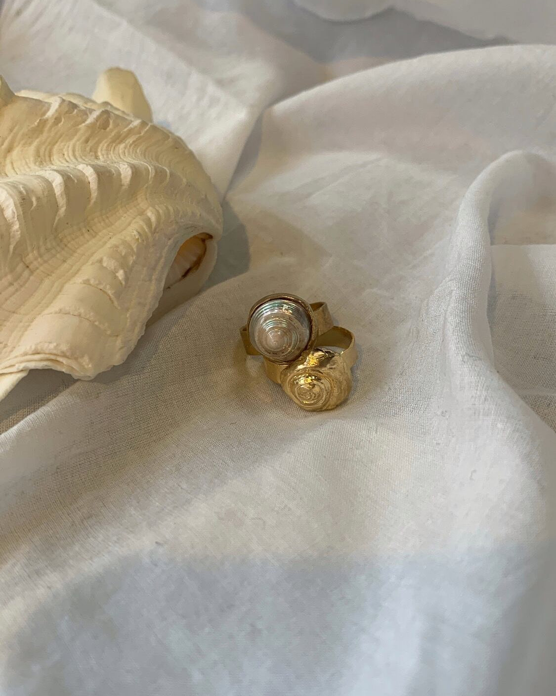 Memory of seashell ring 2