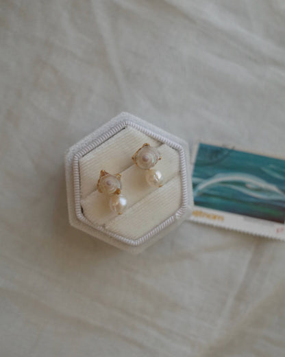 White seashell pearl pierce