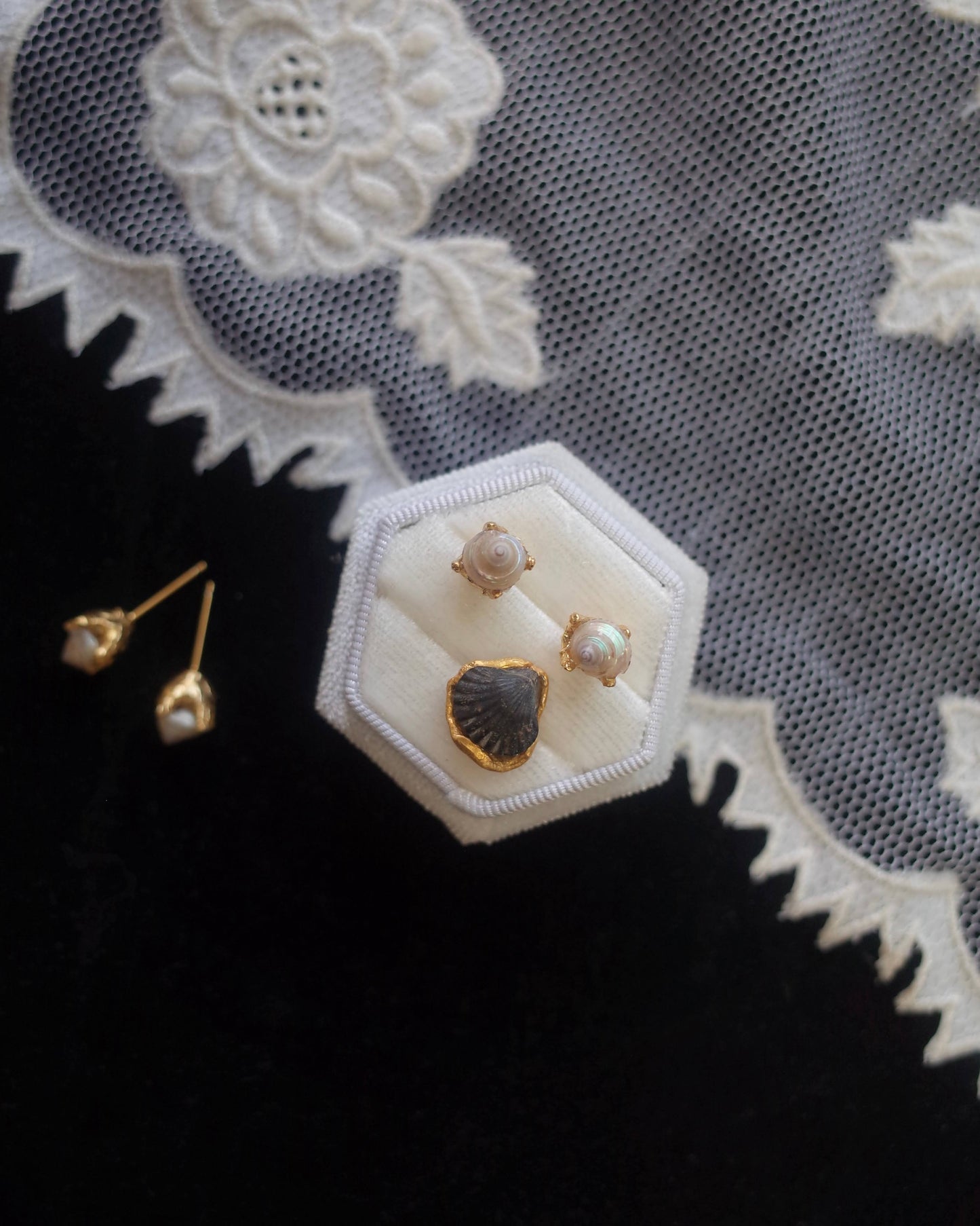 Fossil shell pierce