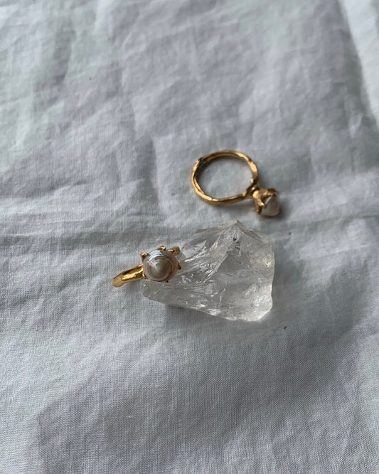 White seashell ring