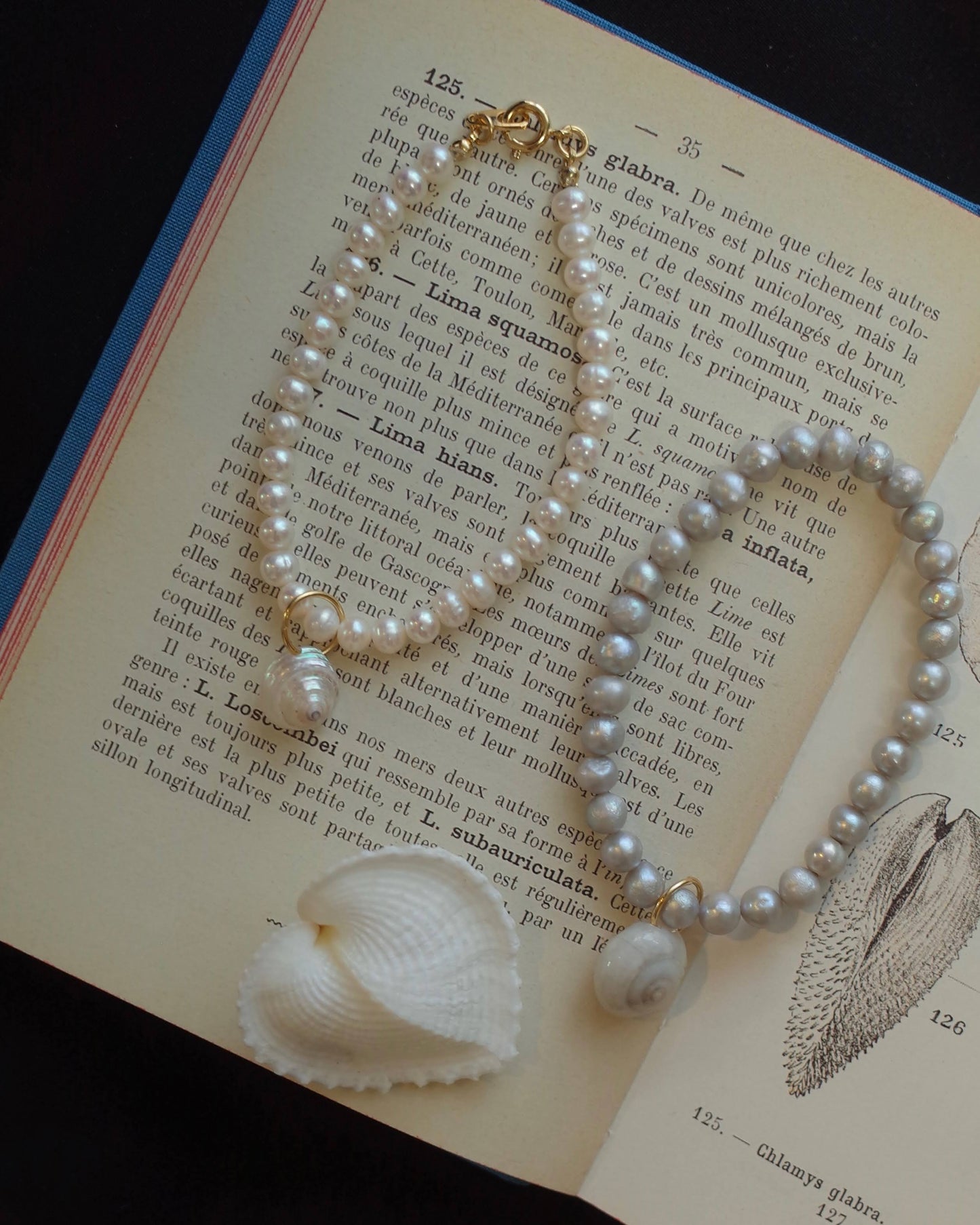 White Pearl and seashell bracelet