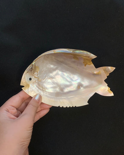 Muschelgehäuse