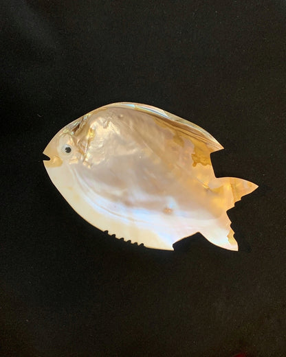 Muschelgehäuse