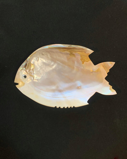 Muschelgehäuse