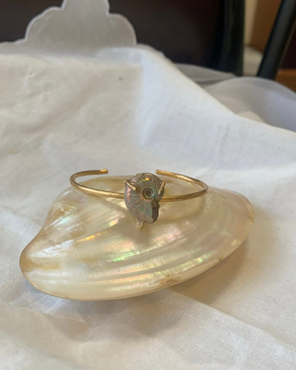 order ammonite bangle