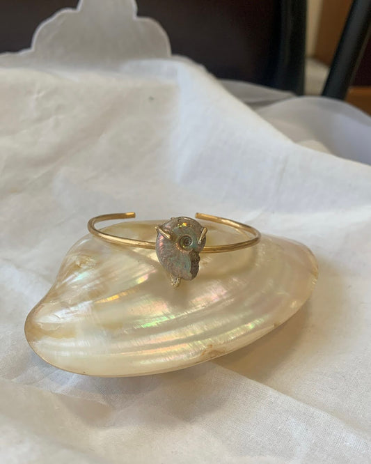 order ammonite bangle