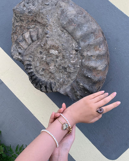 order ammonite bangle