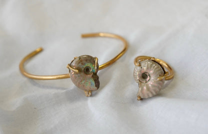 order ammonite bangle