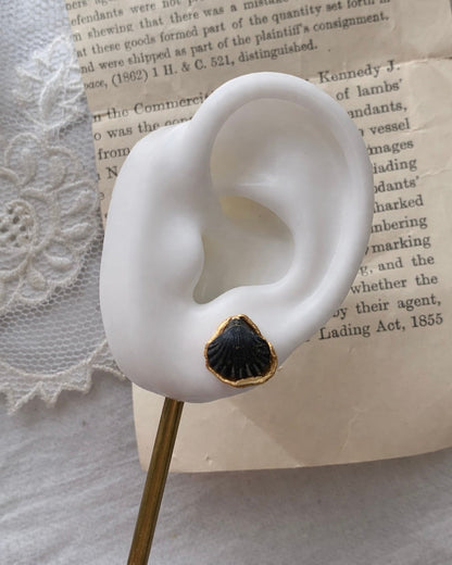 Fossil shell pierce
