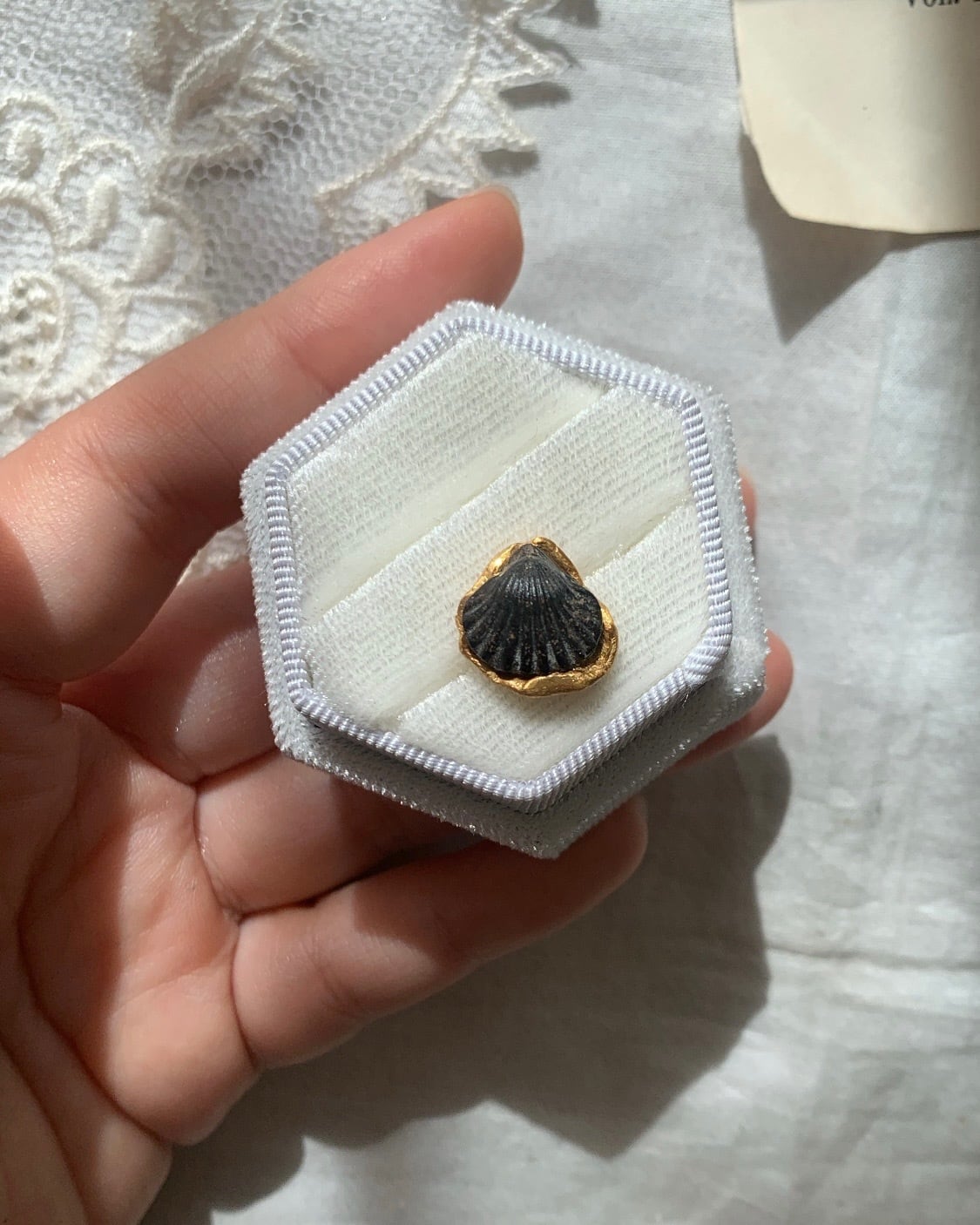 Fossil shell pierce