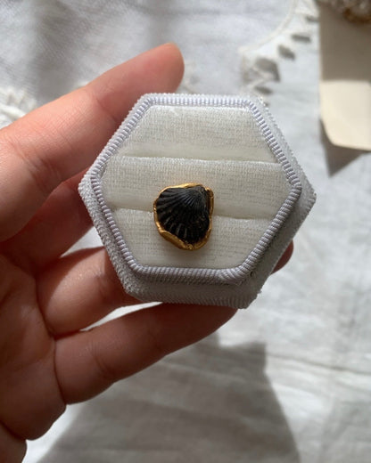 Fossil shell pierce