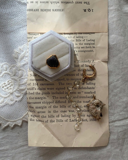 Fossil shell pierce