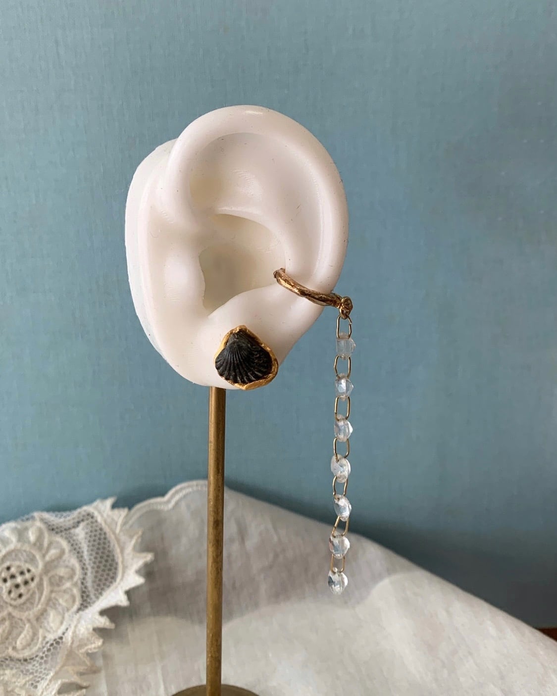 Fossil shell pierce