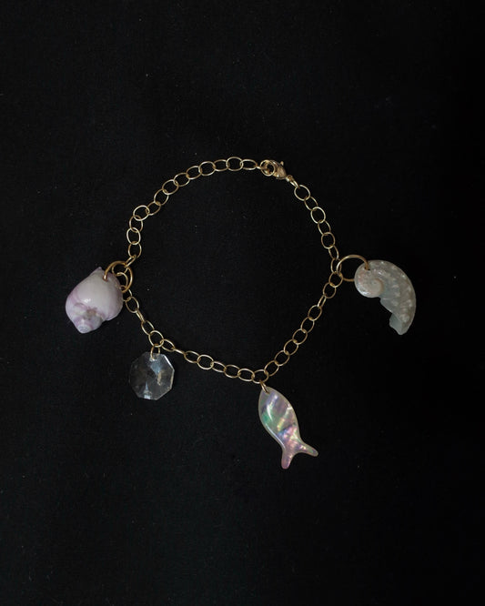 sea shell key chain 14