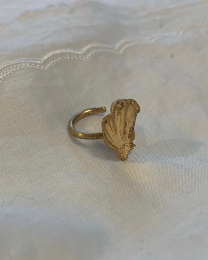 memory of seashell earcuff