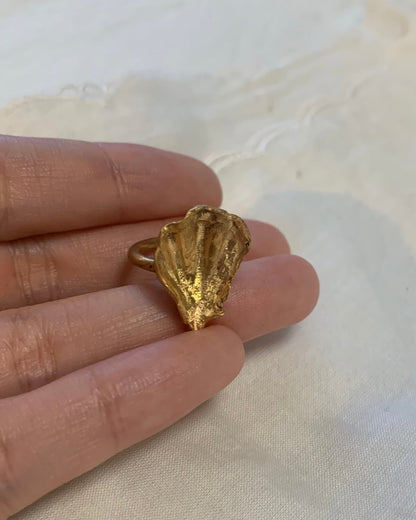 memory of seashell earcuff