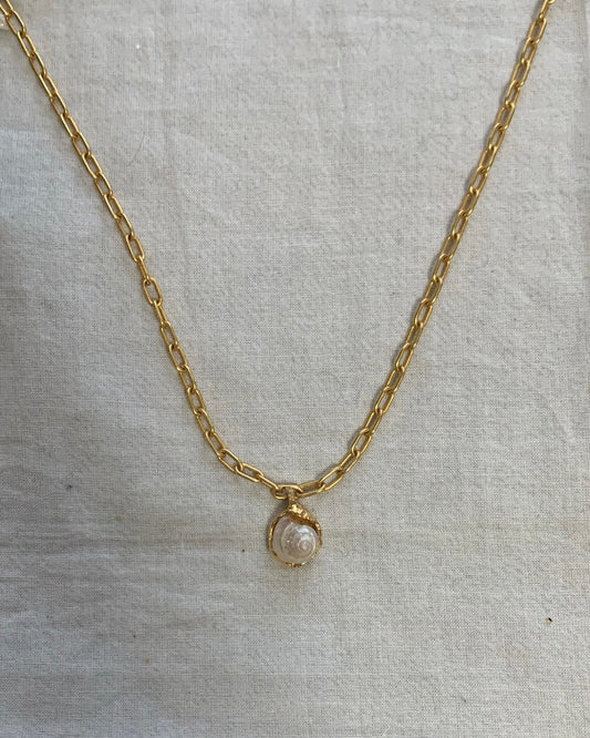 White seashell necklace 4