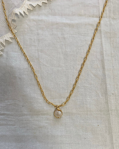 White seashell necklace 4