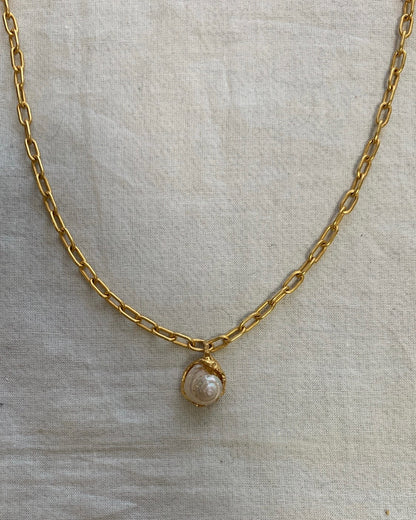 White seashell necklace 4