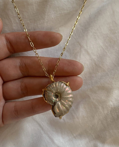 order ammonite necklace