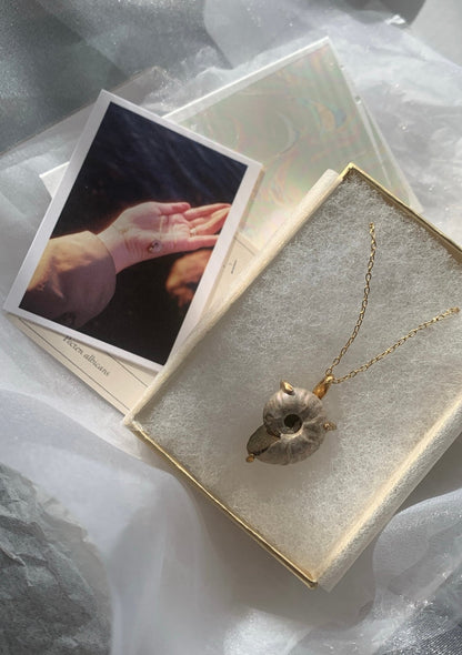 order ammonite necklace