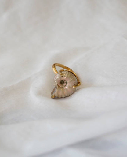 order ammonite ring