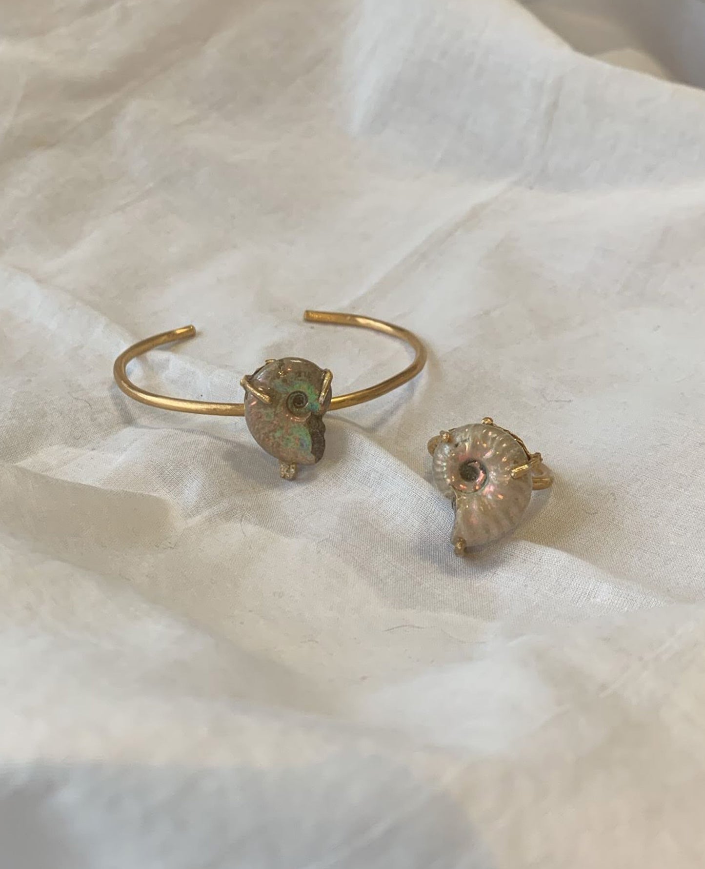 order ammonite ring