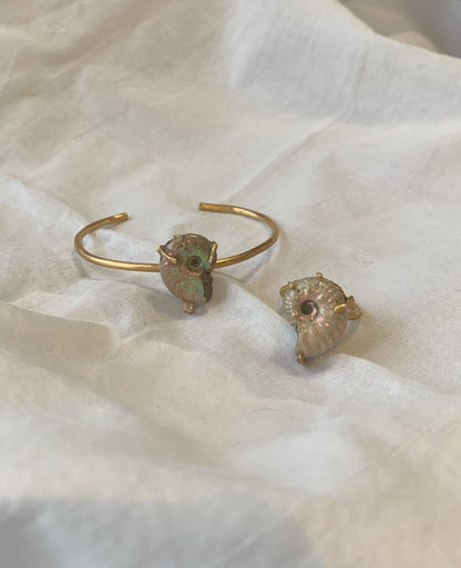 order ammonite ring
