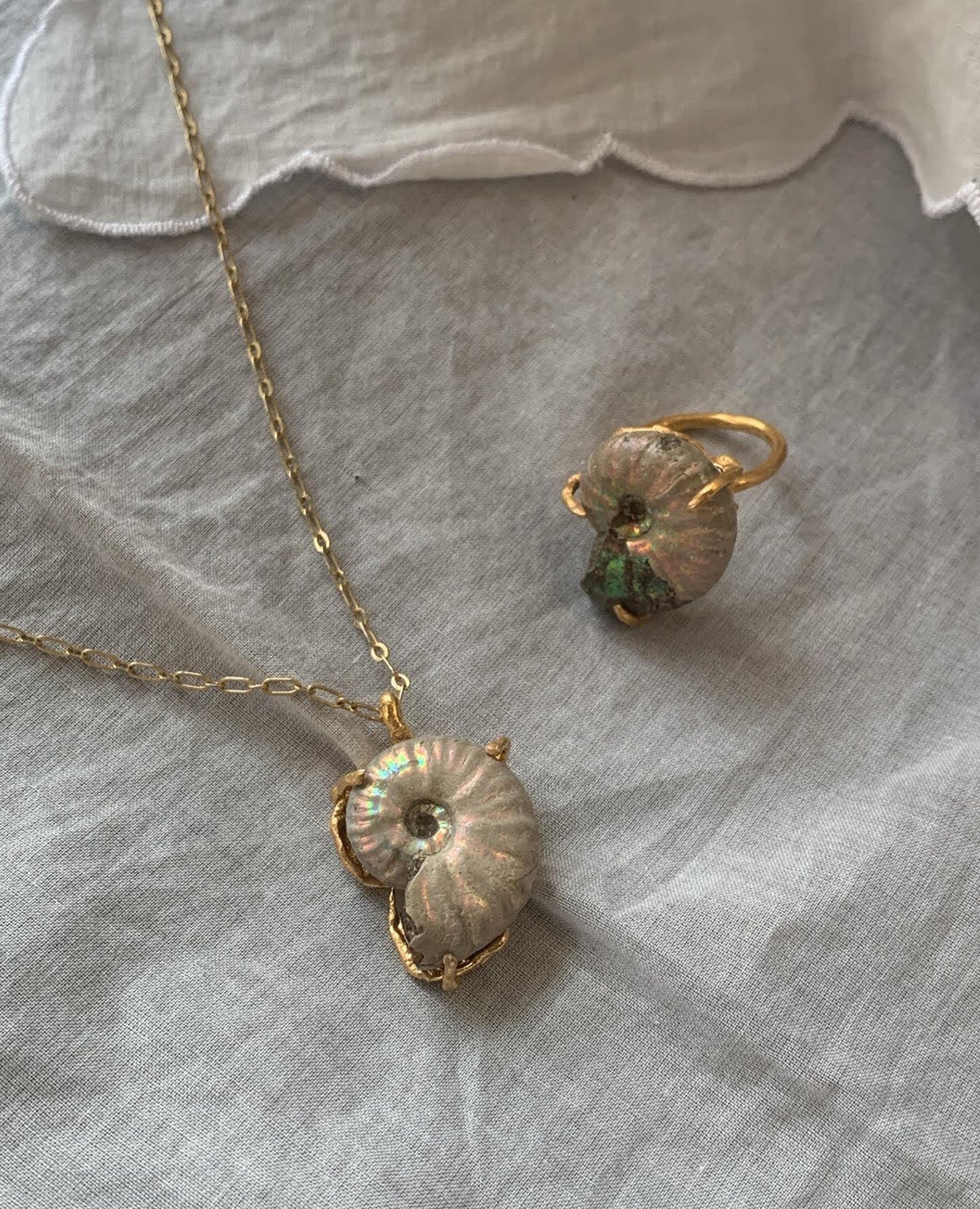order ammonite ring