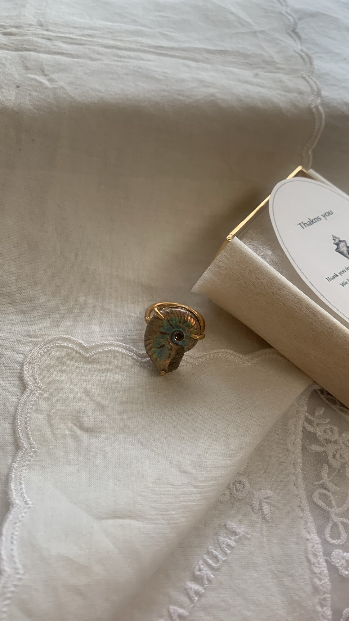 order ammonite ring