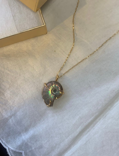 order ammonite necklace
