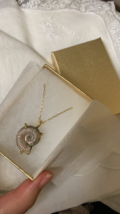 order ammonite necklace