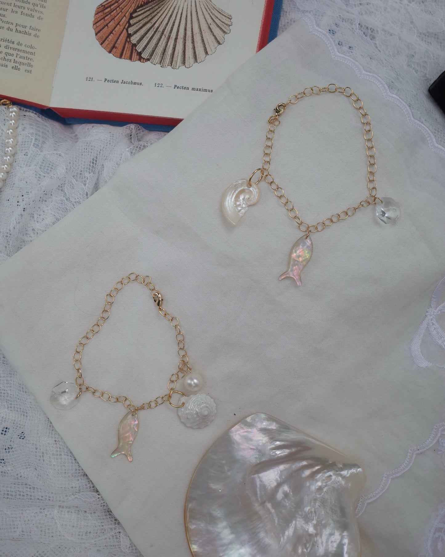 sea shell key chain 12