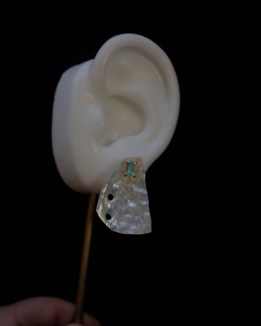 Seaahell and apatite pierce