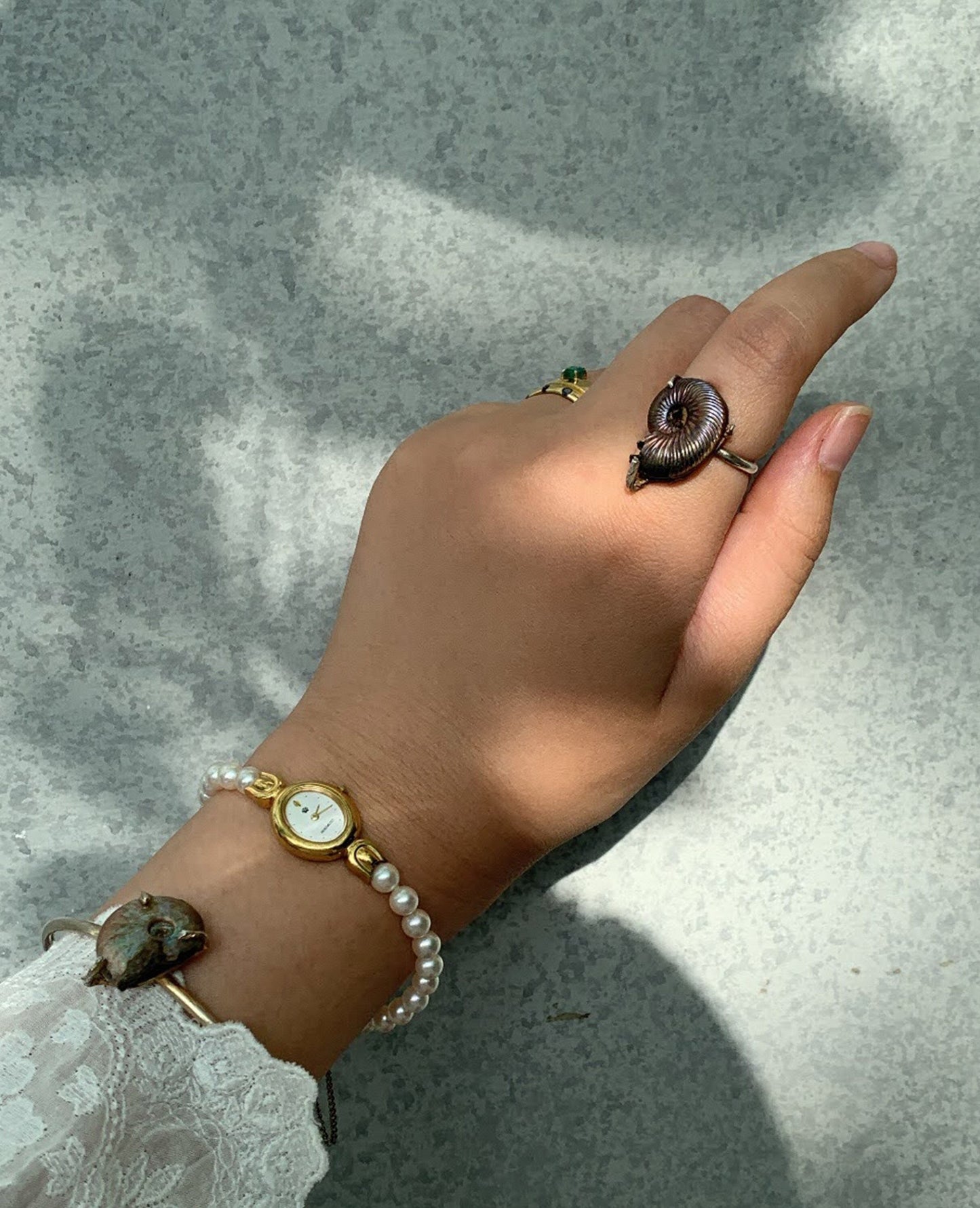 order ammonite ring