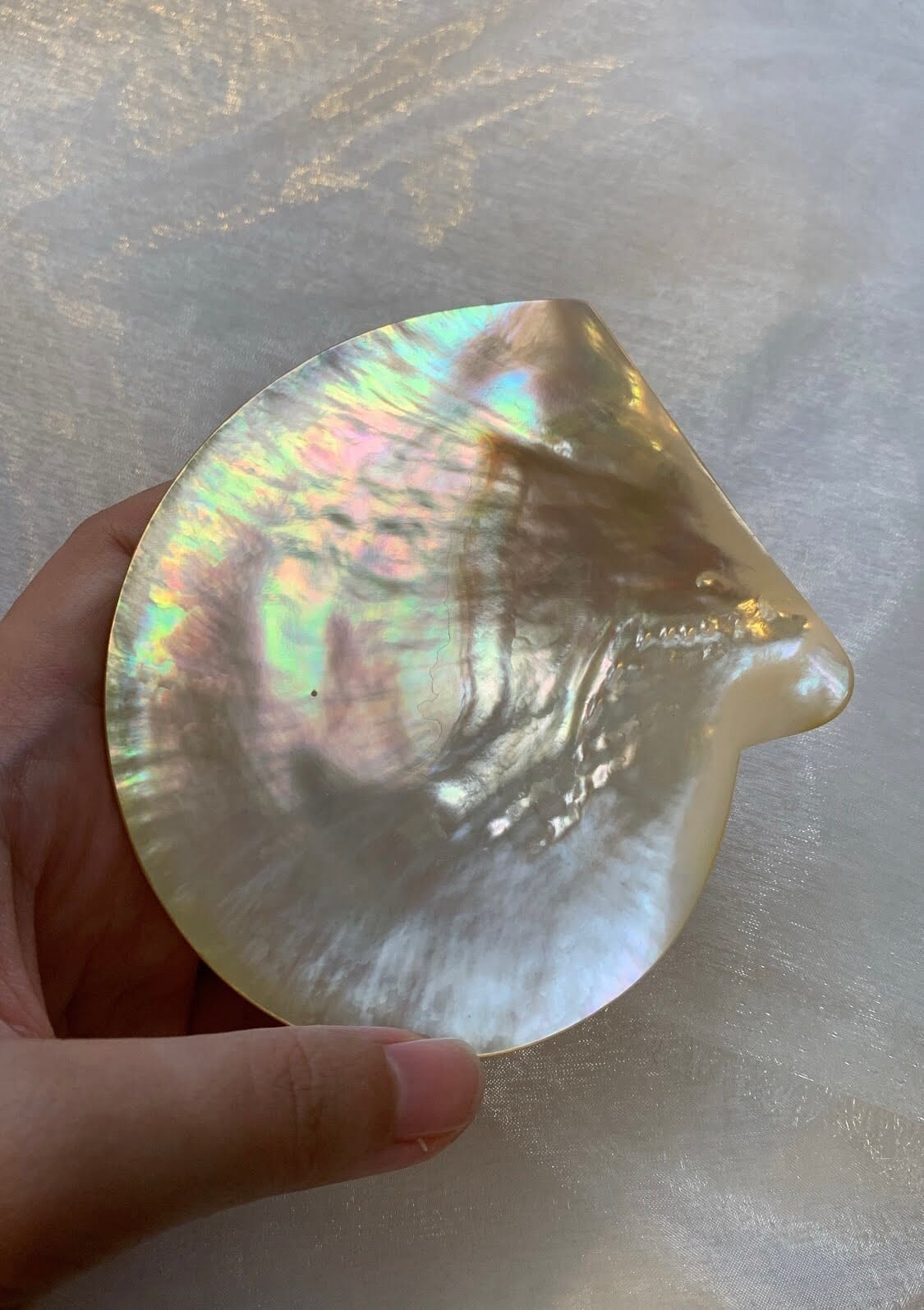 Mother of pearl tray